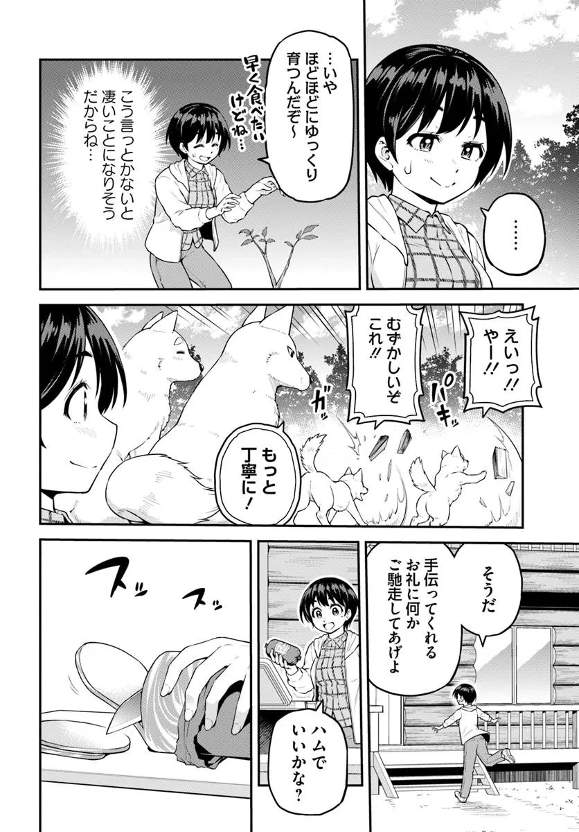 山、買いました 〜異世界暮らしも悪くない〜 第7.2話 - 12