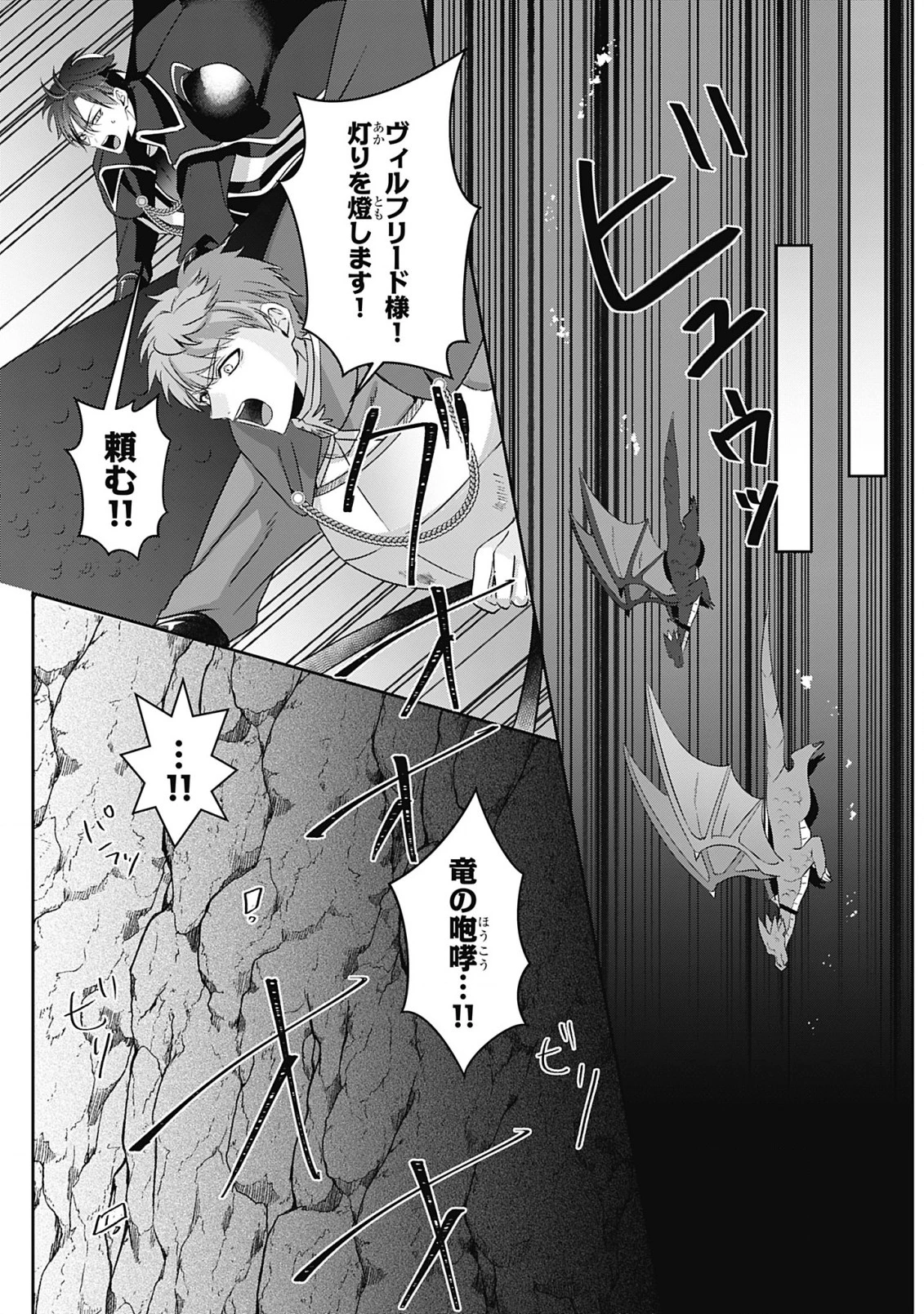籠のなかの竜聖女 -虐げられた伯爵令嬢は、今日も溺愛されています- 第9話 - 14