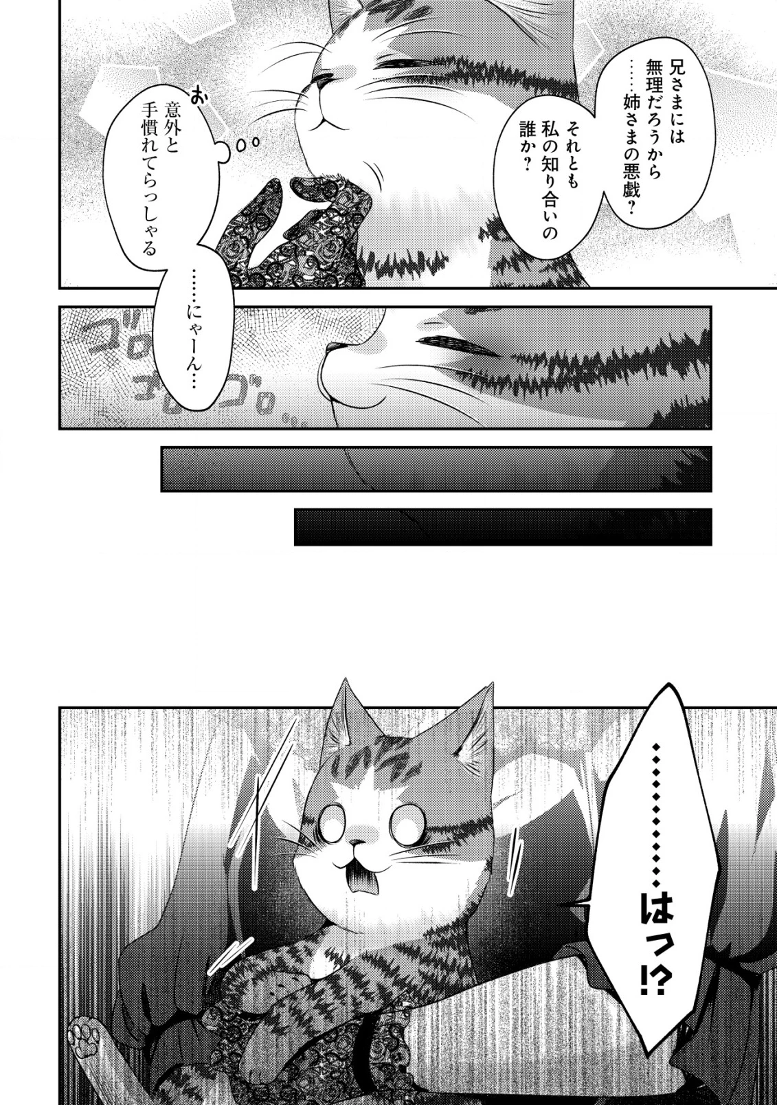 我輩は猫魔導師である～キジトラ・ルークの快適チート猫生活～ 第19話 - 16