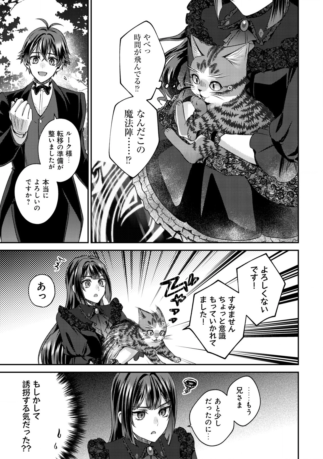 我輩は猫魔導師である～キジトラ・ルークの快適チート猫生活～ 第19話 - 17