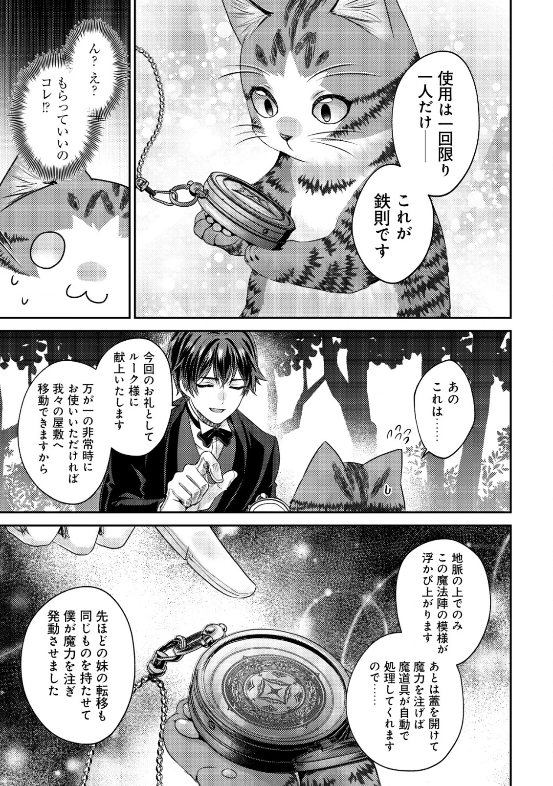 我輩は猫魔導師である～キジトラ・ルークの快適チート猫生活～ 第19話 - 21