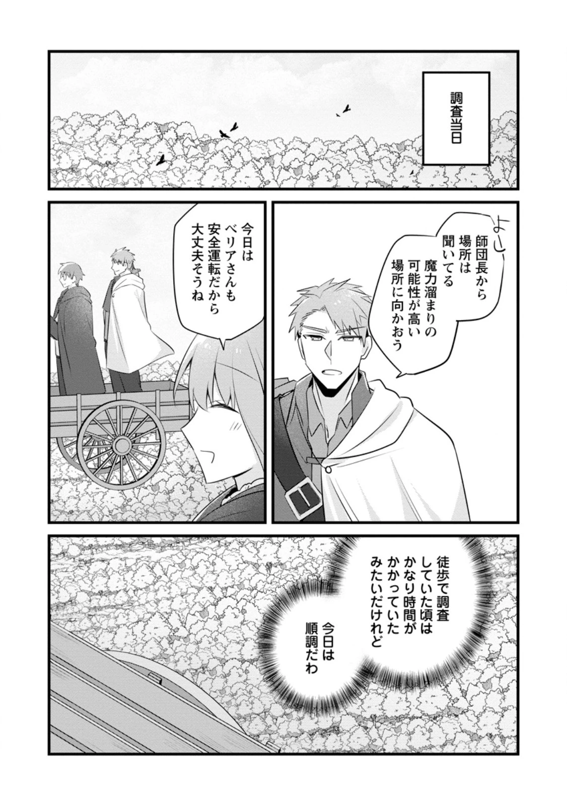 地味姫と黒猫の、円満な婚約破棄 第41.3話 - 2