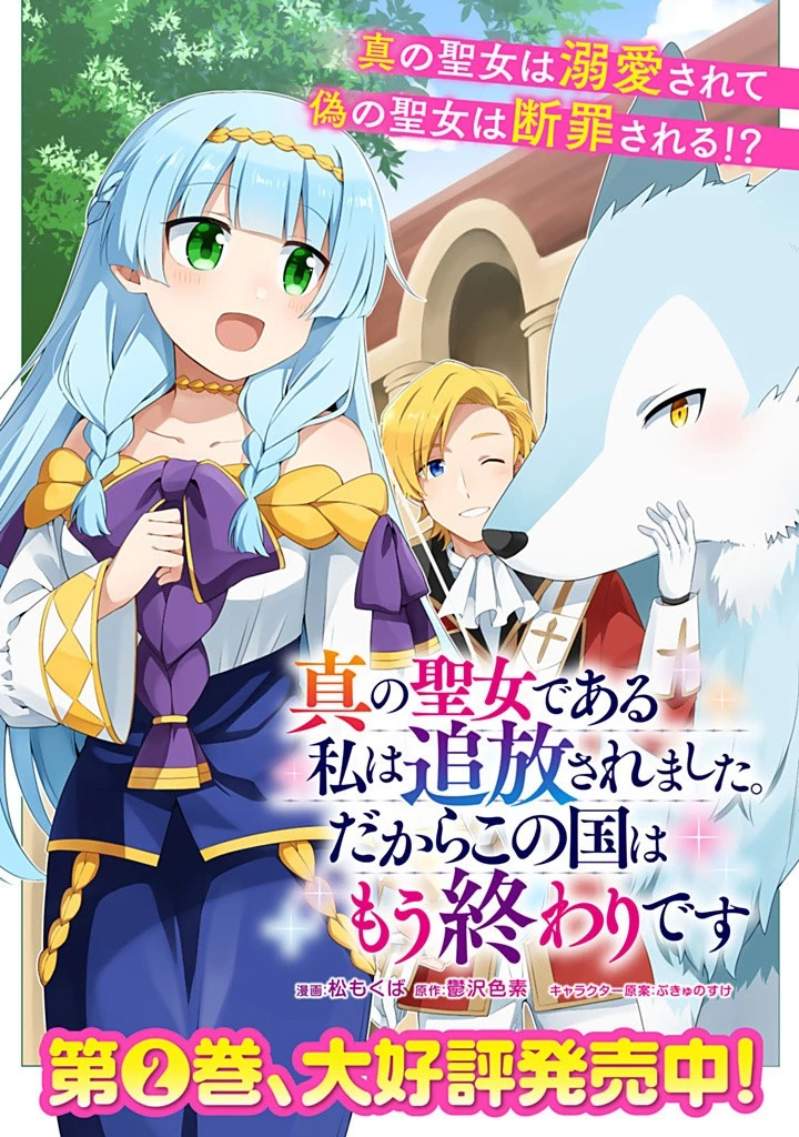 真の聖女である私は追放されました。だからこの国はもう終わりです 第46.2話 - 18