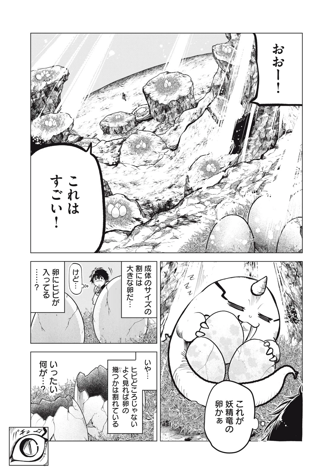 国を追われた竜師さん、拾われた隣国でうっかり無双してしまう。〜弱小国家が大陸最強の竜の楽園になるまで〜 第17.1話 - 9