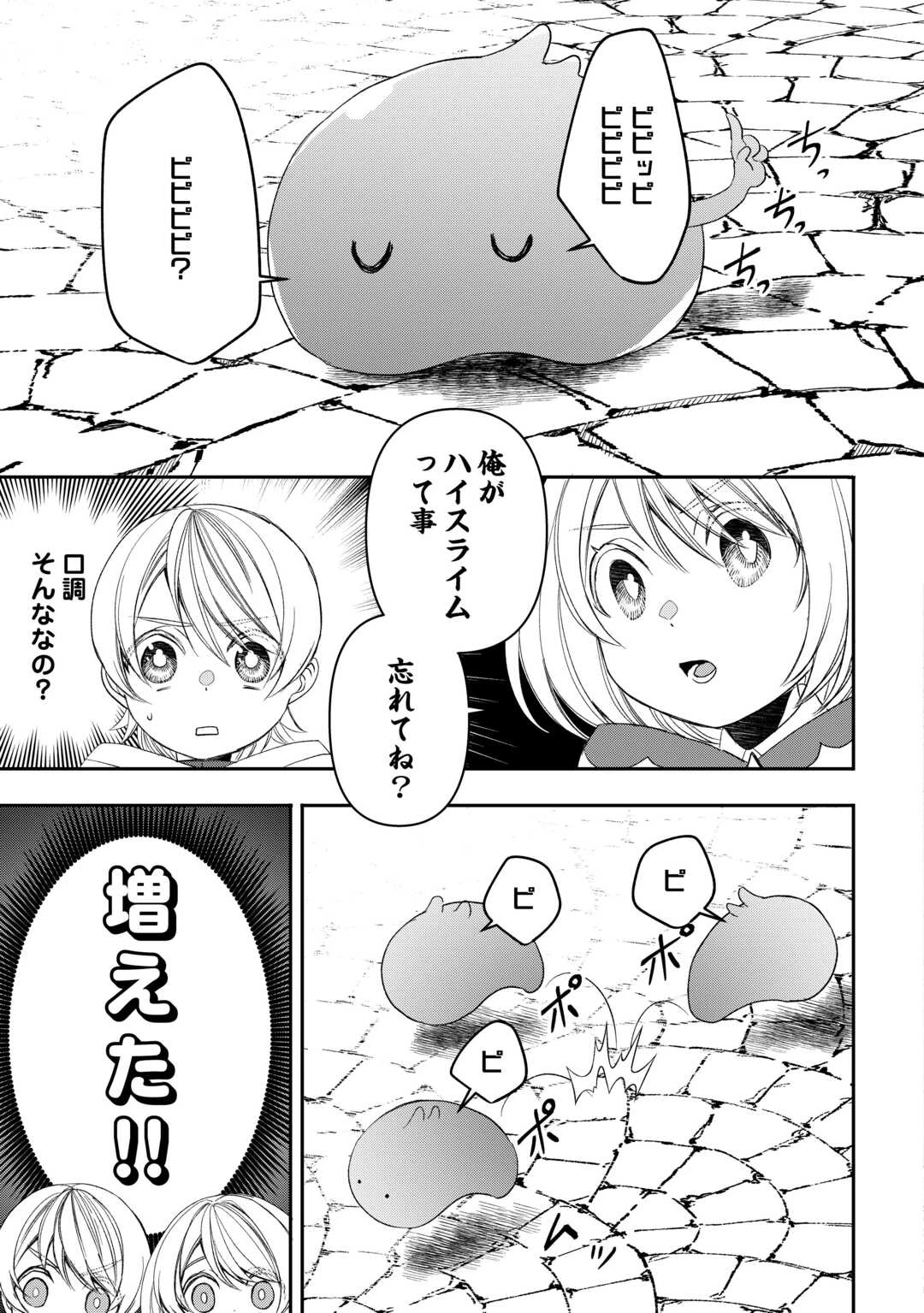 転生しても実家を追い出されたので、今度は自分の意志で生きていきます 第9話 - 17