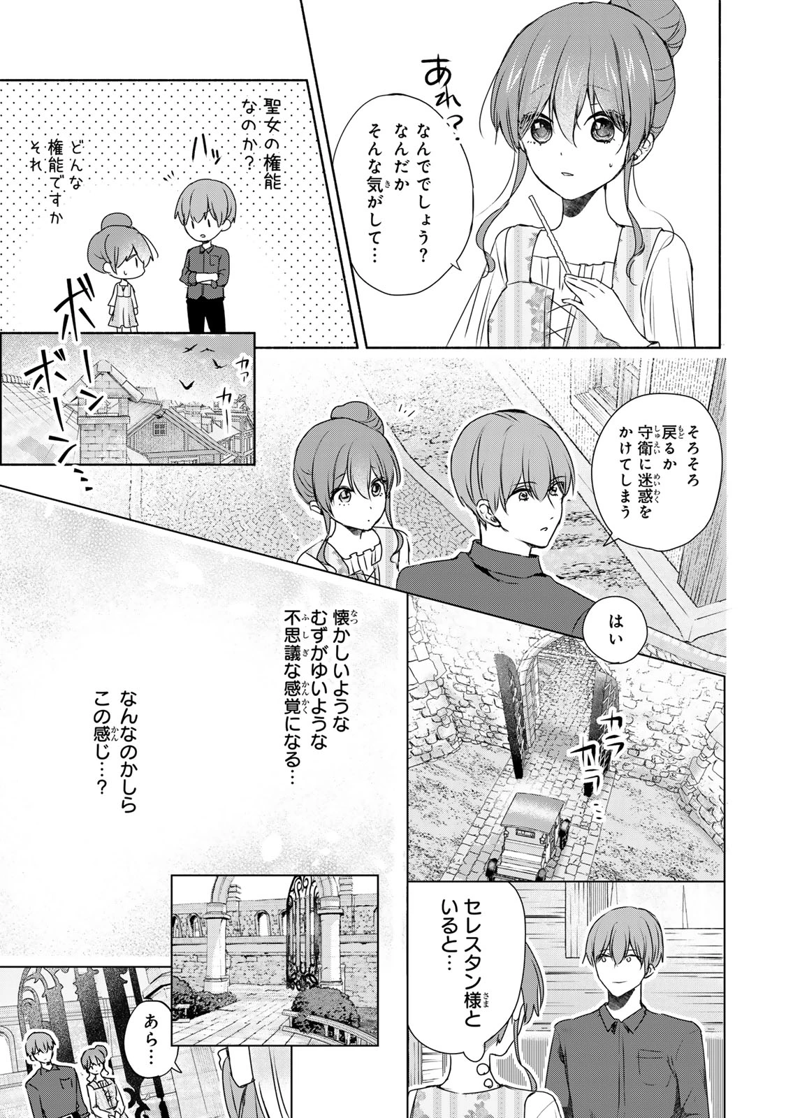 聖女様をお探しでしたら妹で間違いありません。さあどうぞお連れください、今すぐ。 第11話 - 10