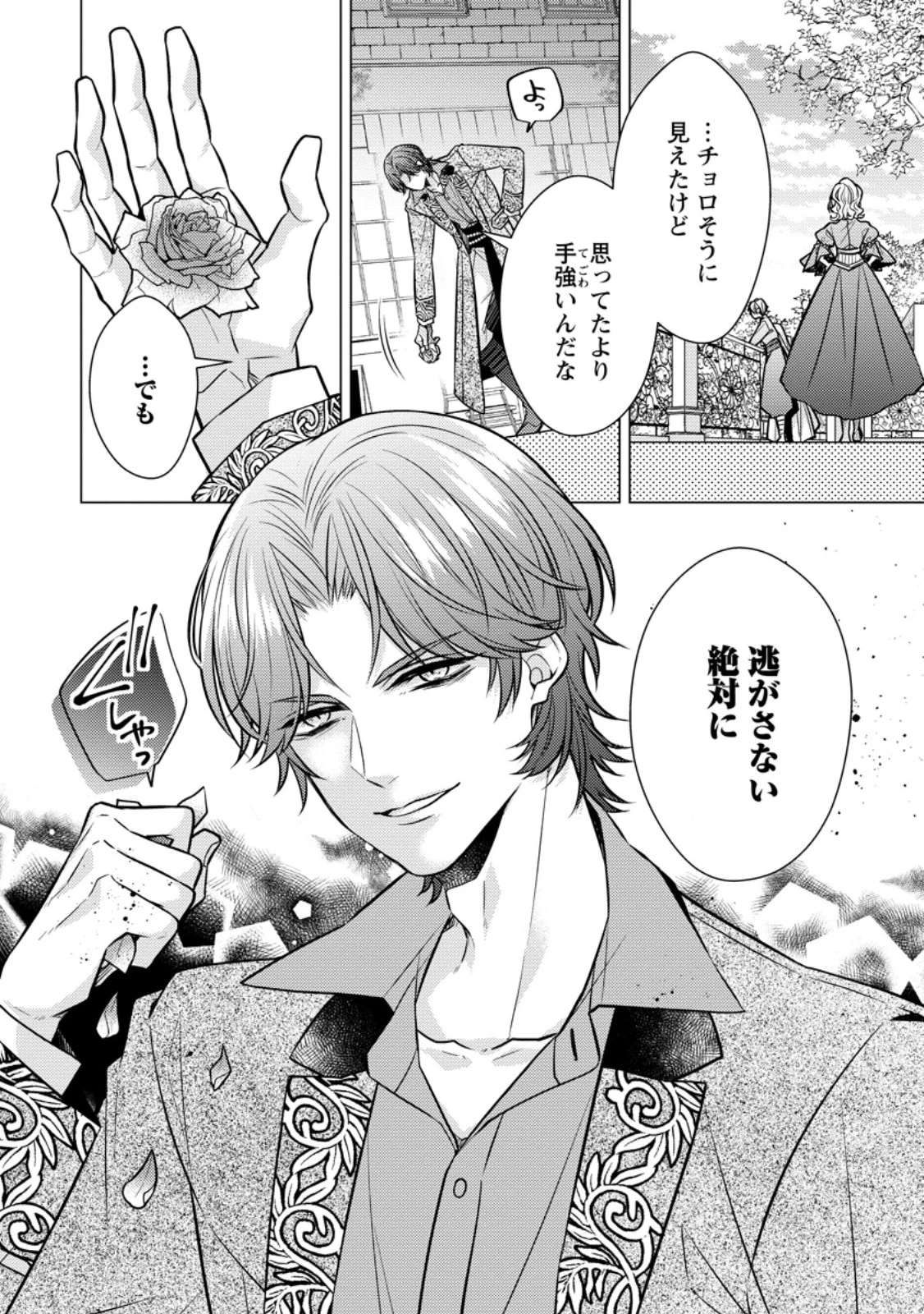 星屑の花嫁は運命の恋から逃げ出したい～王子様と強制結婚なんて無理！～ 第4.2話 - 3