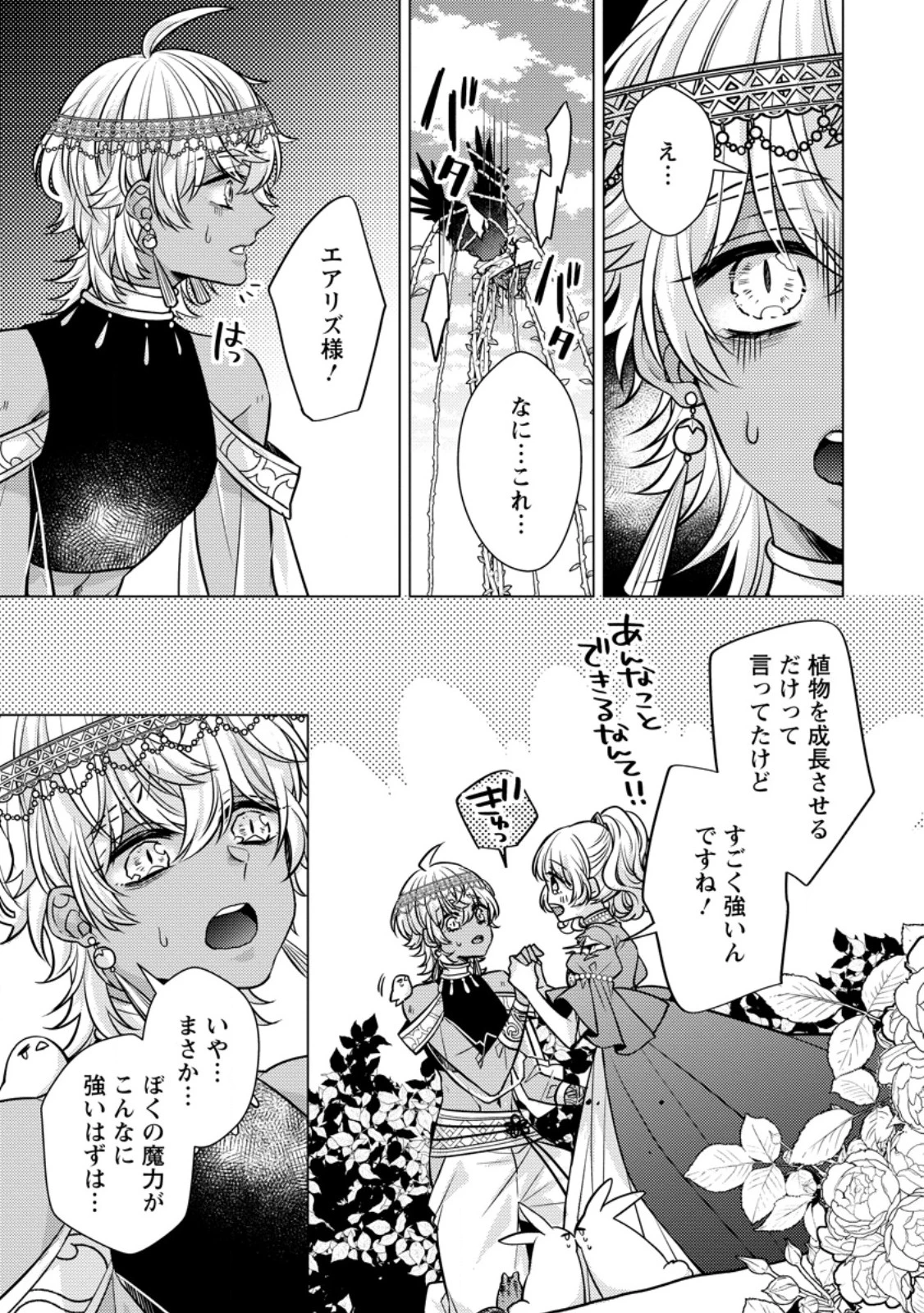 星屑の花嫁は運命の恋から逃げ出したい～王子様と強制結婚なんて無理！～ 第4.2話 - 12