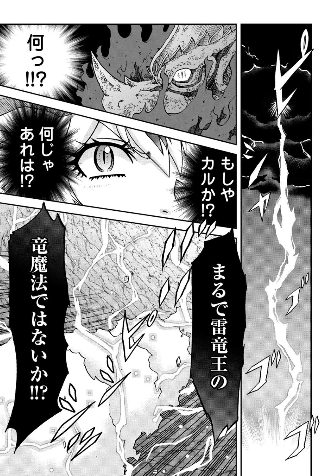 竜王に拾われて魔法を極めた少年、追放を言い渡した家族の前でうっかり無双してしまう～兄上たちが僕の仲間を攻撃するなら、徹底的にやり返します～ 第6.3話 - 9