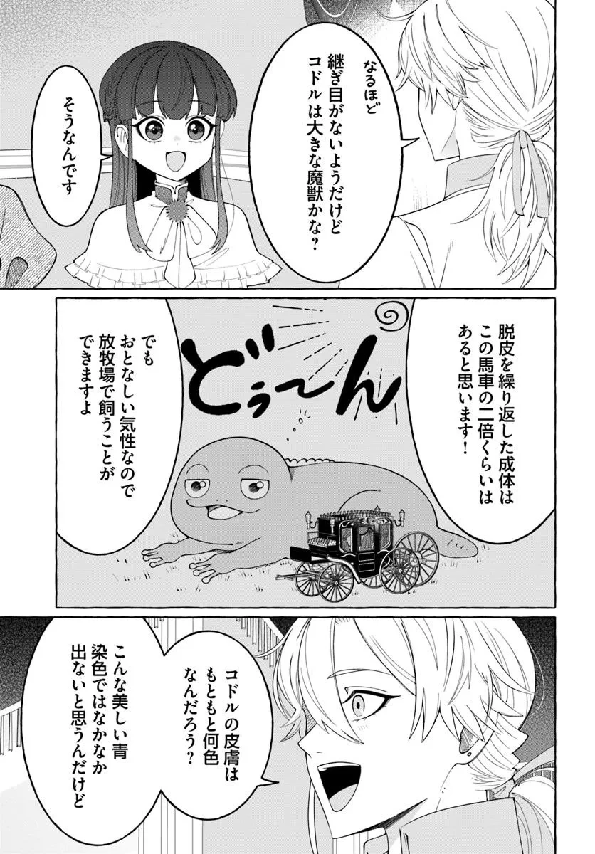 辺境領主令嬢の白い結婚 第5話 - 5