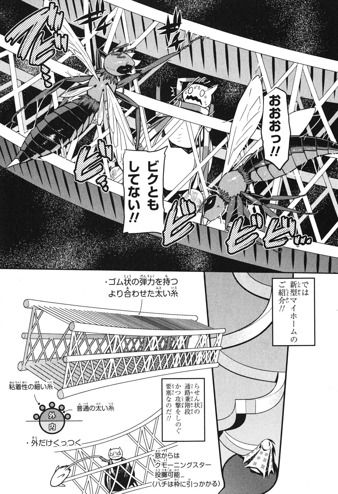 蜘蛛ですが，なにか？ 第11話 - 3