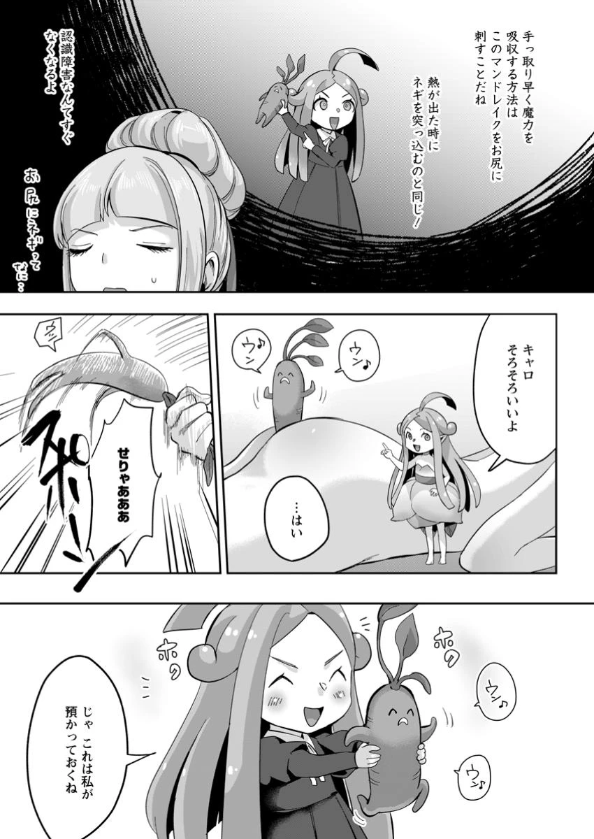 学園物の乙女ゲームの世界に転生したけど、チート持ちの背景男子生徒だったようです。 第34.2話 - 5