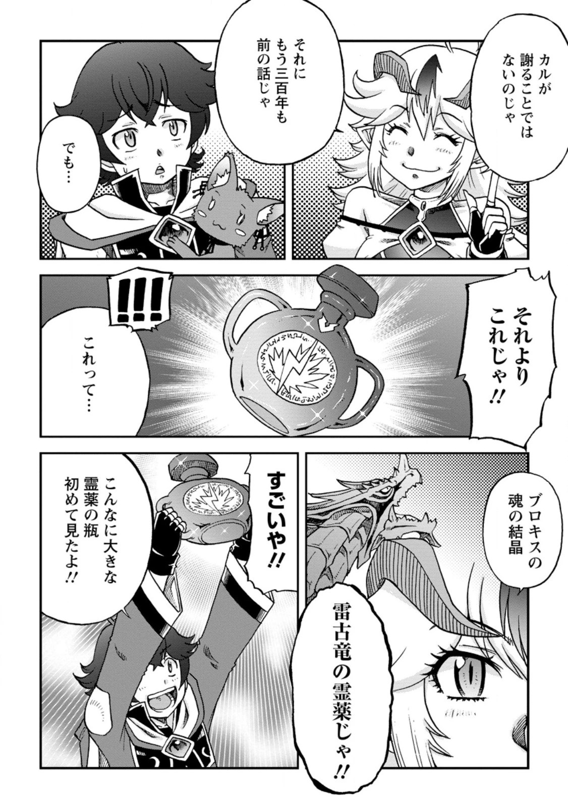 竜王に拾われて魔法を極めた少年、追放を言い渡した家族の前でうっかり無双してしまう～兄上たちが僕の仲間を攻撃するなら、徹底的にやり返します～ 第7.1話 - 4