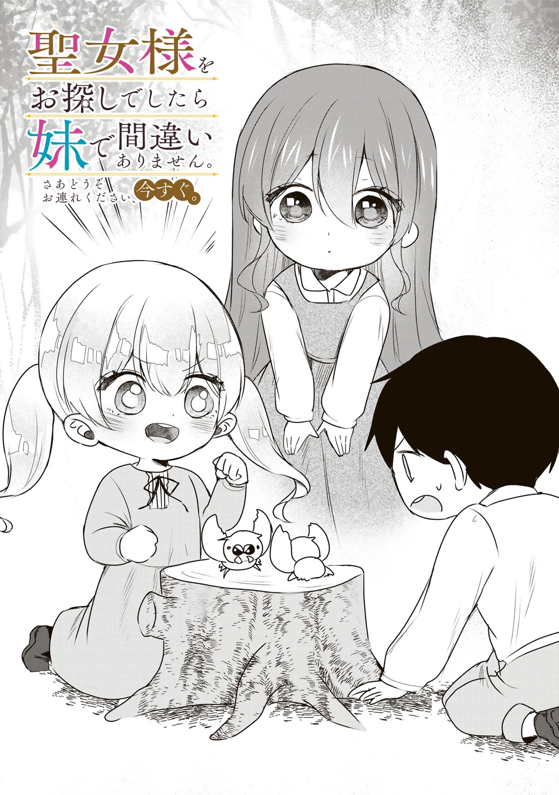 聖女様をお探しでしたら妹で間違いありません。さあどうぞお連れください、今すぐ。 第14話 - 1