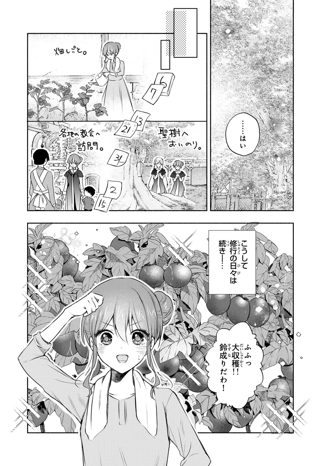 聖女様をお探しでしたら妹で間違いありません。さあどうぞお連れください、今すぐ。 第14話 - 12