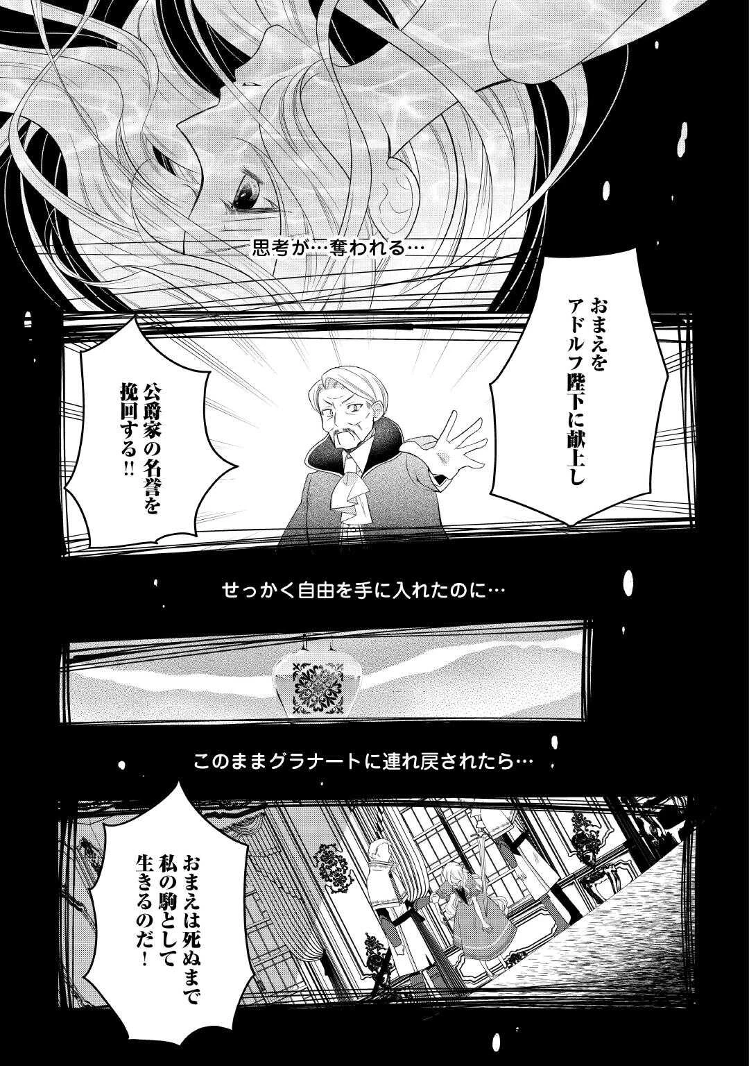 死んだ王妃は二度目の人生を楽しみます ーお飾りの王妃は必要ないのでしょう?ー 第7話 - 25