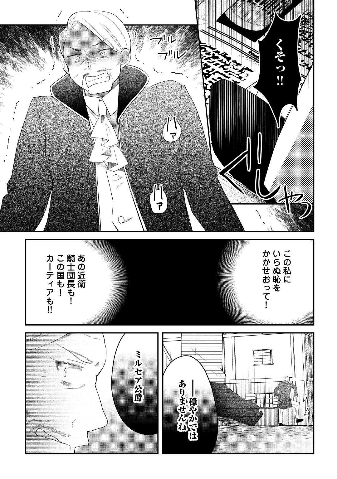 死んだ王妃は二度目の人生を楽しみます ーお飾りの王妃は必要ないのでしょう?ー 第6話 - 23