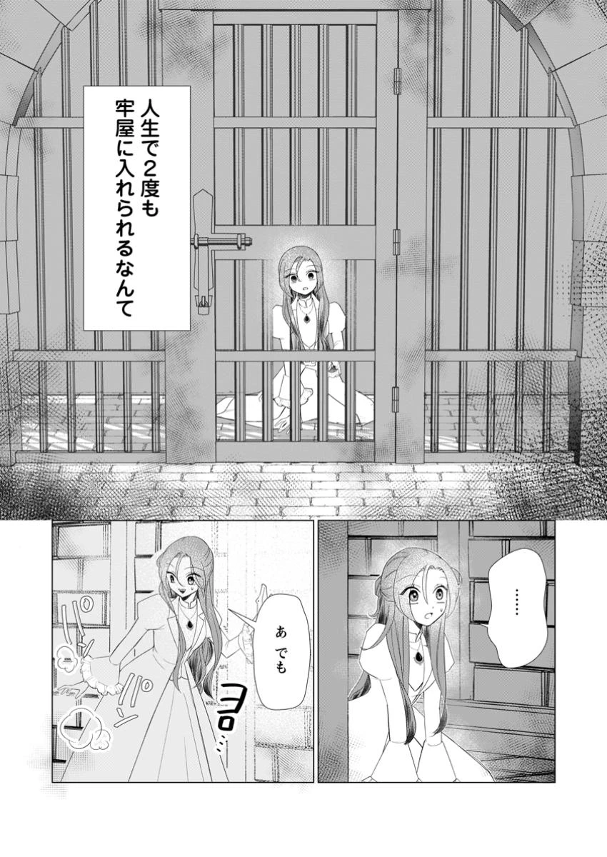 牢の中で目覚めた悪役令嬢は死にたくない ～処刑を回避したら、待っていたのは溺愛でした～ 第21.1話 - 11