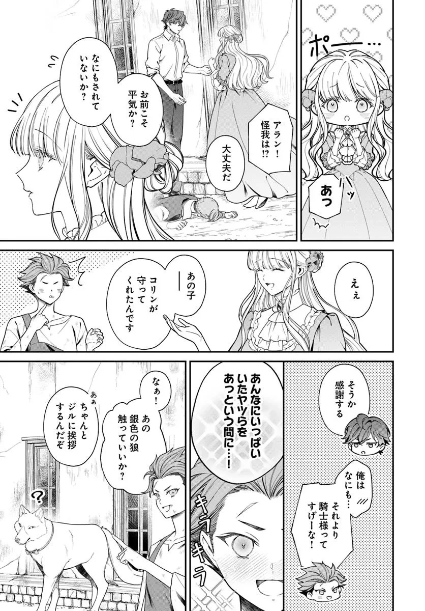 おっとり令嬢は騎士団長の溺愛包囲網に気がつかない　もふもふしてたら求婚ですか？ 第6話 - 17