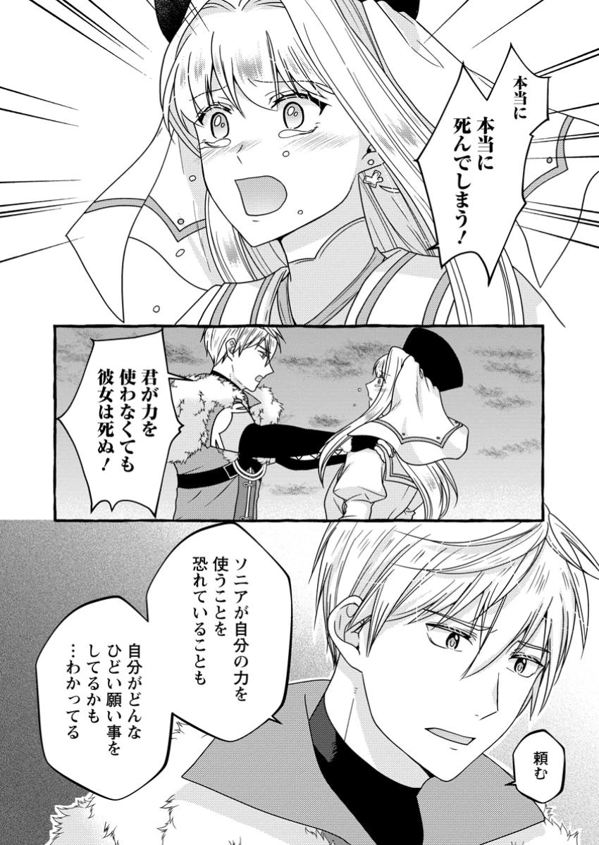 身代わりの落ちこぼれ生贄聖女は敵国王弟に溺愛される ～処刑の日はいつでしょう？ え、なぜこんなに大事にされてるんでしょうか～ 第10.3話 - 3