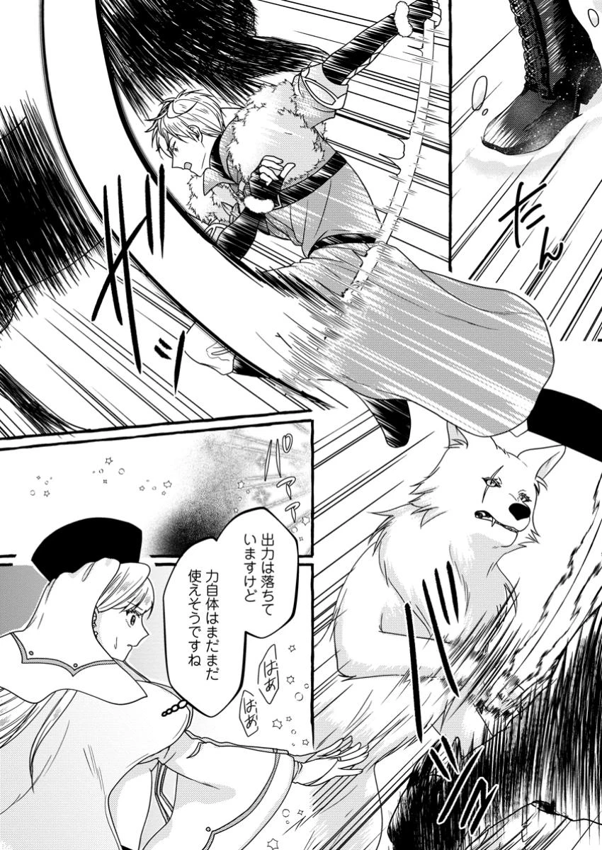 身代わりの落ちこぼれ生贄聖女は敵国王弟に溺愛される ～処刑の日はいつでしょう？ え、なぜこんなに大事にされてるんでしょうか～ 第10.2話 - 7