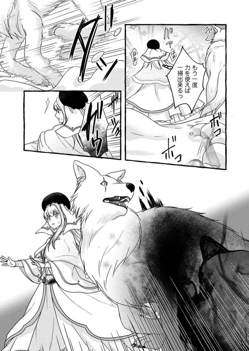 身代わりの落ちこぼれ生贄聖女は敵国王弟に溺愛される ～処刑の日はいつでしょう？ え、なぜこんなに大事にされてるんでしょうか～ 第10.2話 - 8