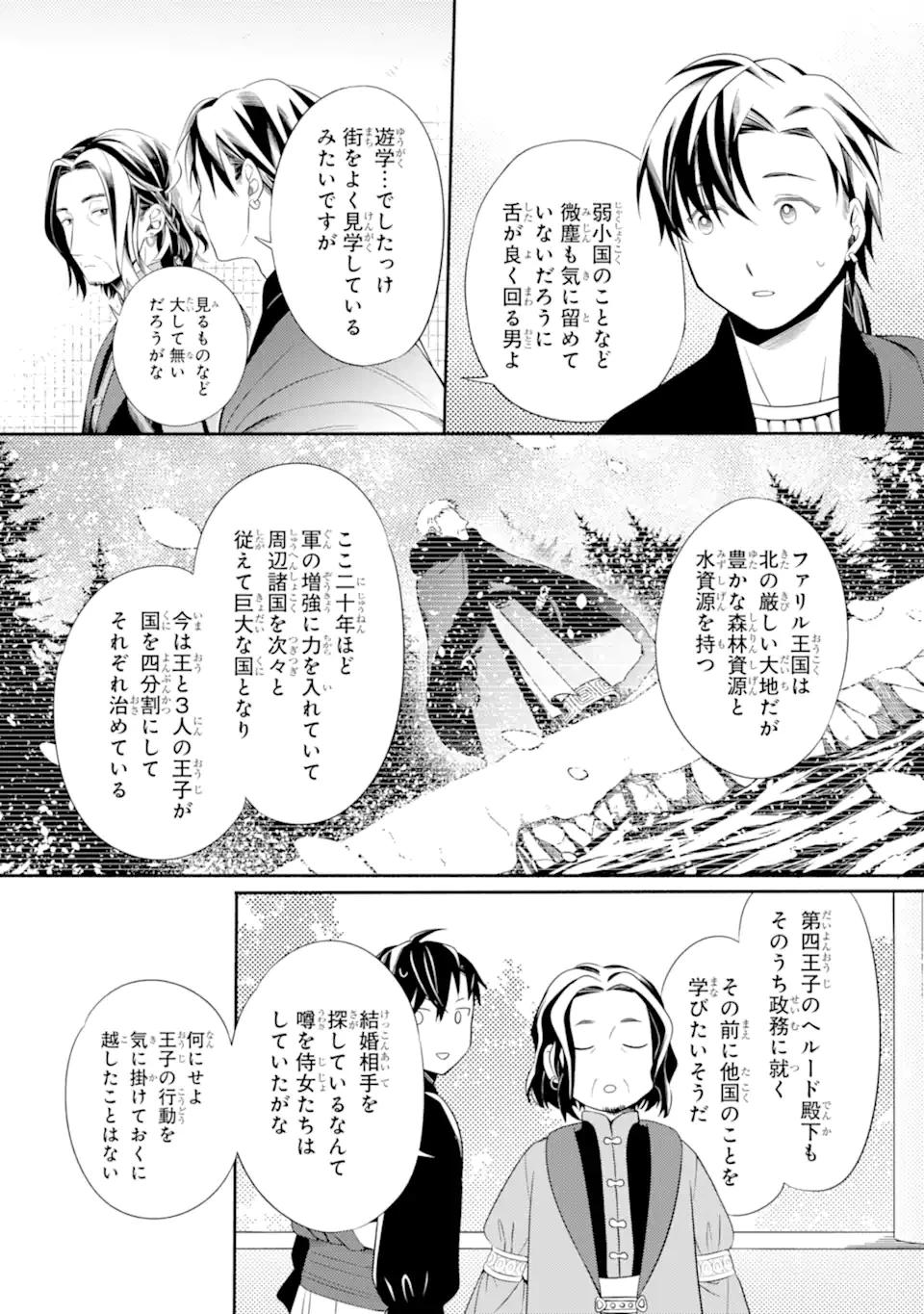 砂漠の国の雨降らし姫～前世で処刑された魔法使いは農家の娘になりました～ 第14.3話 - 6