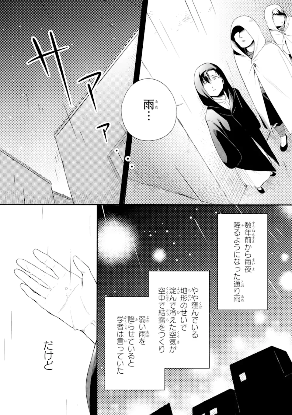 砂漠の国の雨降らし姫～前世で処刑された魔法使いは農家の娘になりました～ 第14.3話 - 8