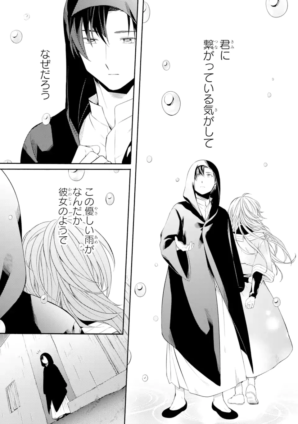 砂漠の国の雨降らし姫～前世で処刑された魔法使いは農家の娘になりました～ 第14.3話 - 9