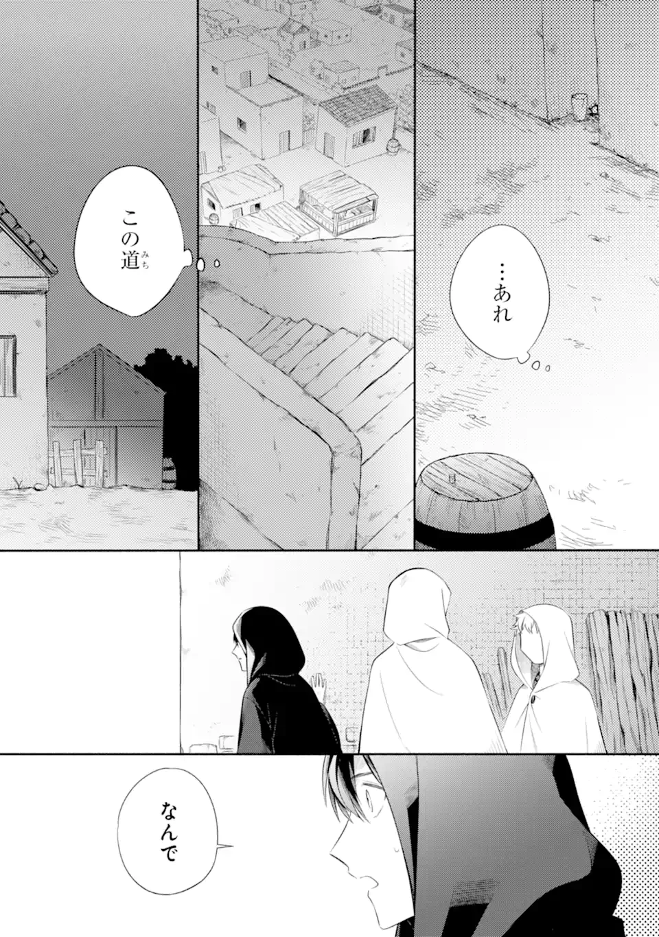 砂漠の国の雨降らし姫～前世で処刑された魔法使いは農家の娘になりました～ 第14.3話 - 10