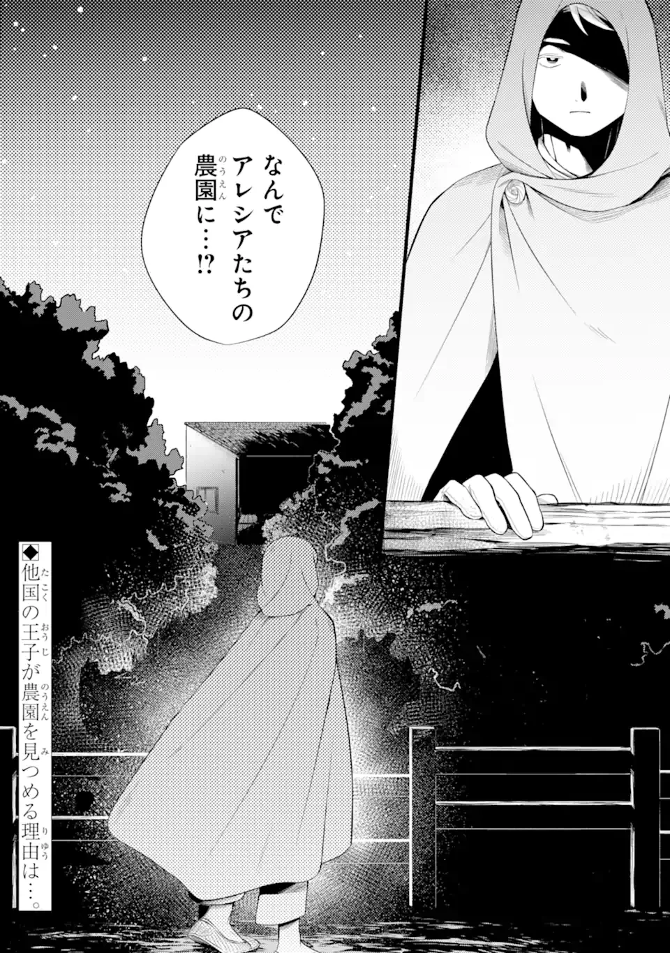 砂漠の国の雨降らし姫～前世で処刑された魔法使いは農家の娘になりました～ 第14.3話 - 11