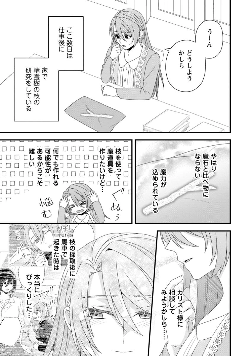 無能と言われた錬金術師　～家を追い出されましたが、凄腕だとバレて侯爵様に拾われました～ 第8.2話 - 4