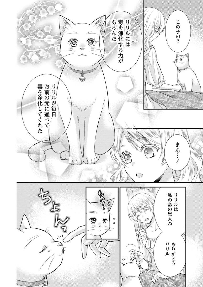 呪いで猫にされた悪女、王太子に拾われる。 第11.1話 - 10
