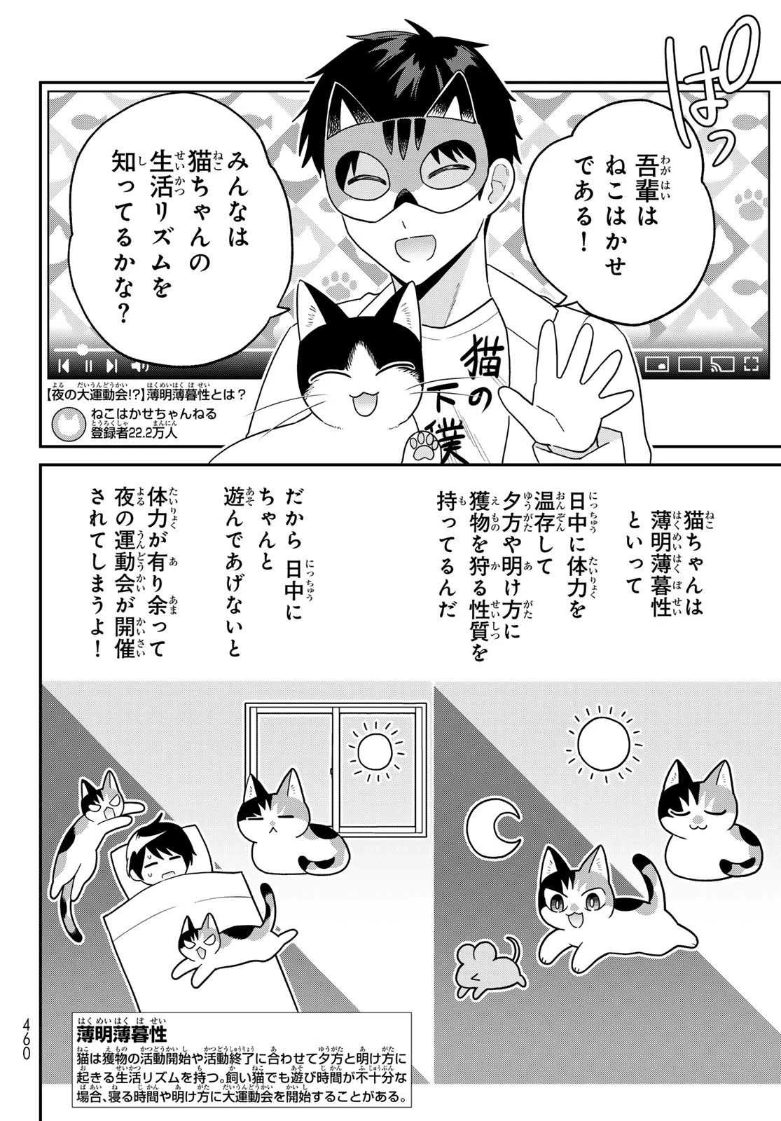 はたらく細胞猫 第18話 - 20