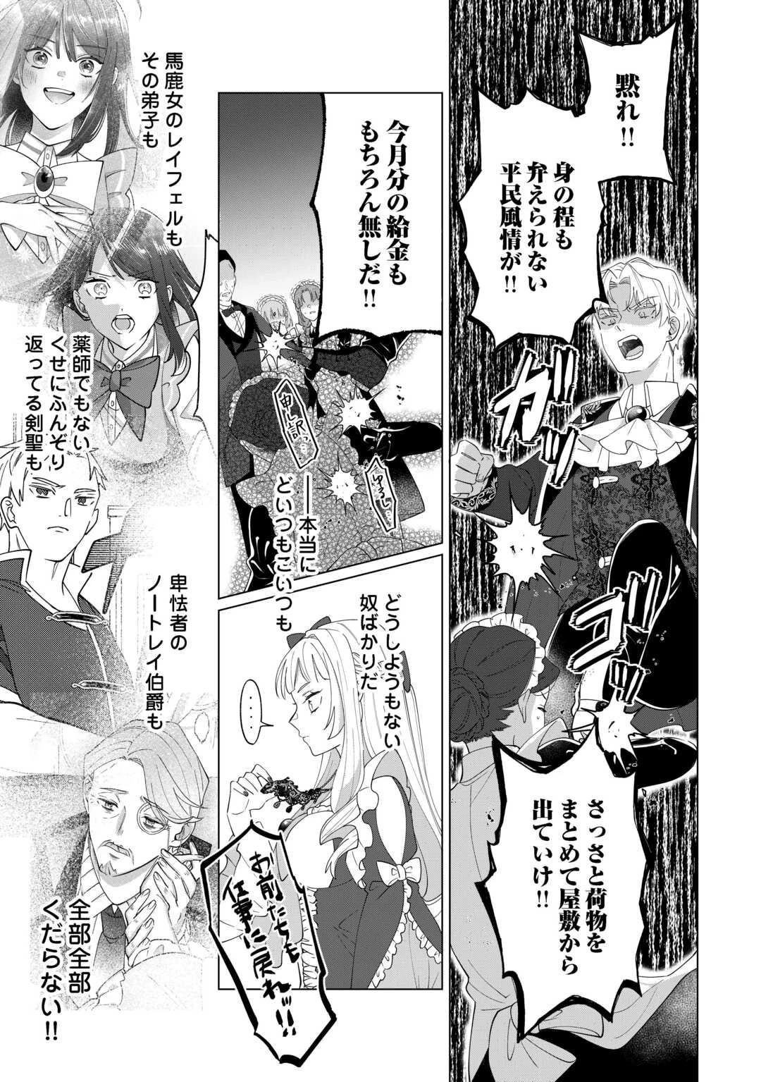 私を追い出すのはいいですけど、この家の薬作ったの全部私ですよ？ 第10話 - 21