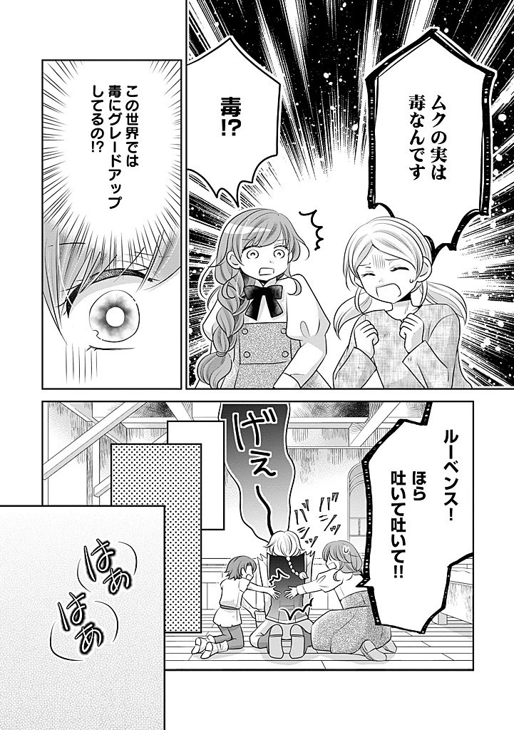 美形王子が苦手な破天荒モブ令嬢は自分らしく生きていきたい！ 第18.2話 - 6