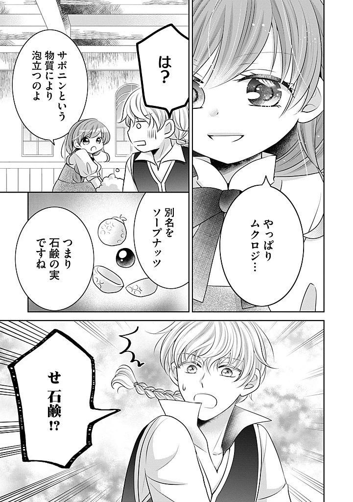 美形王子が苦手な破天荒モブ令嬢は自分らしく生きていきたい！ 第18.2話 - 9