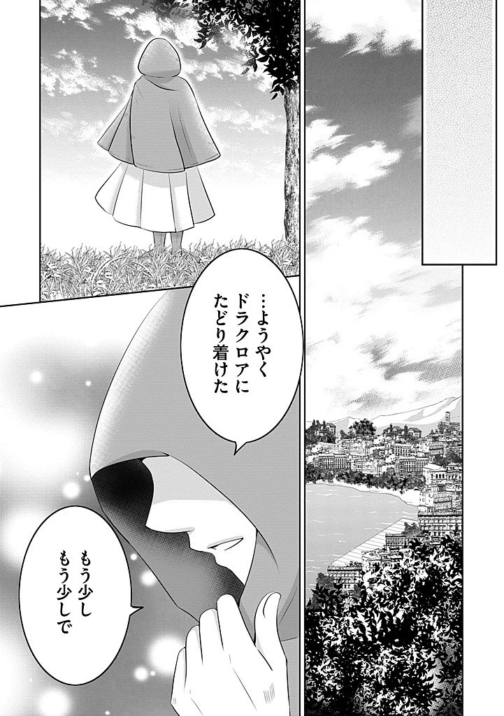 美形王子が苦手な破天荒モブ令嬢は自分らしく生きていきたい！ 第18.2話 - 11