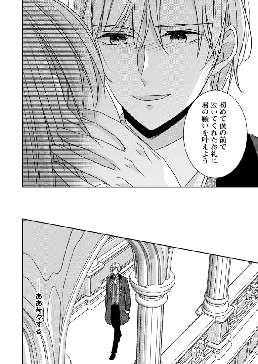 婚約解消を提案したら王太子様に溺愛されました　～お手をどうぞ、僕の君～ 第15.2話 - 12
