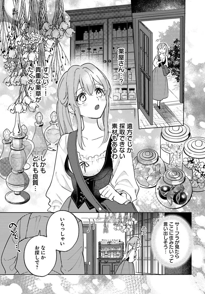 追放聖女は獣人の国で楽しく暮らしています ~自作の薬と美味しいご飯で人質生活も快適です!?~ 第3.2話 - 6