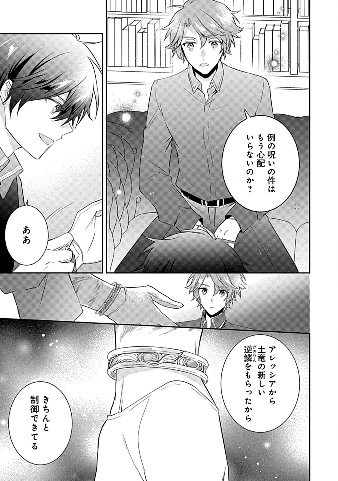 竜騎士様の最愛花嫁 第6.2話 - 11