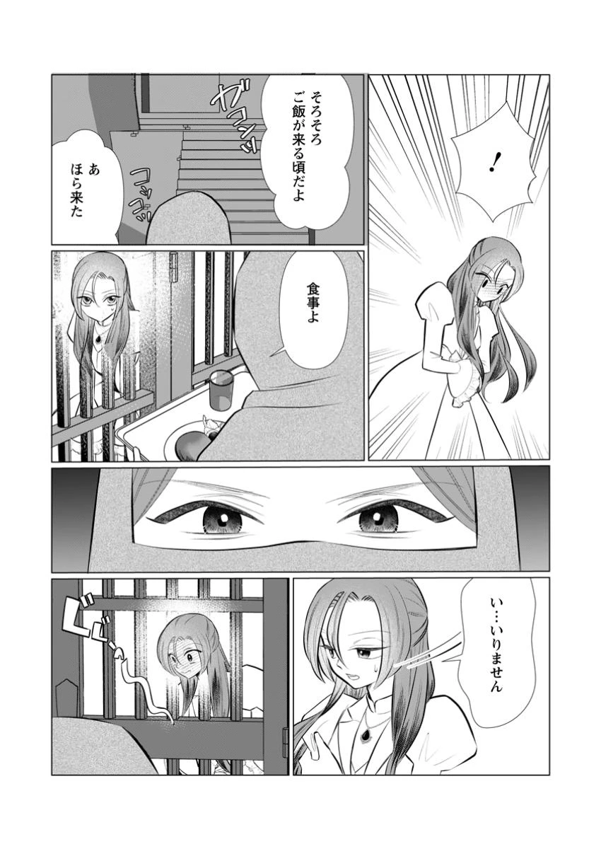 牢の中で目覚めた悪役令嬢は死にたくない ～処刑を回避したら、待っていたのは溺愛でした～ 第21.2話 - 9