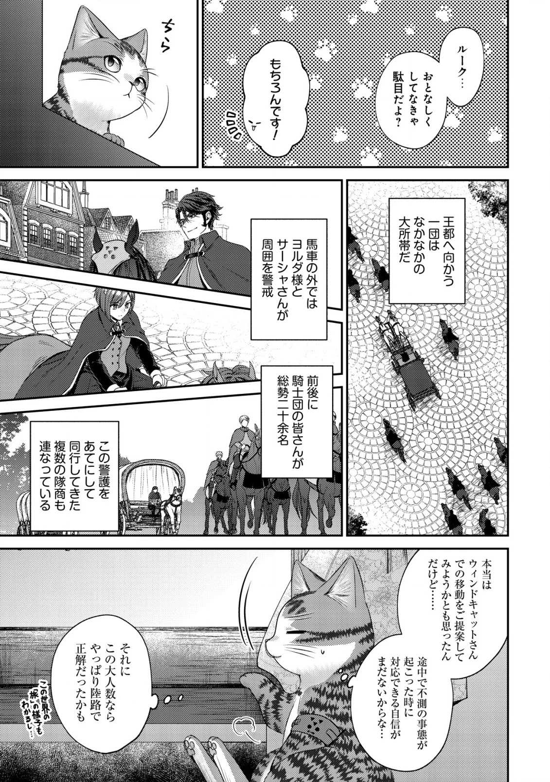 我輩は猫魔導師である～キジトラ・ルークの快適チート猫生活～ 第21話 - 2