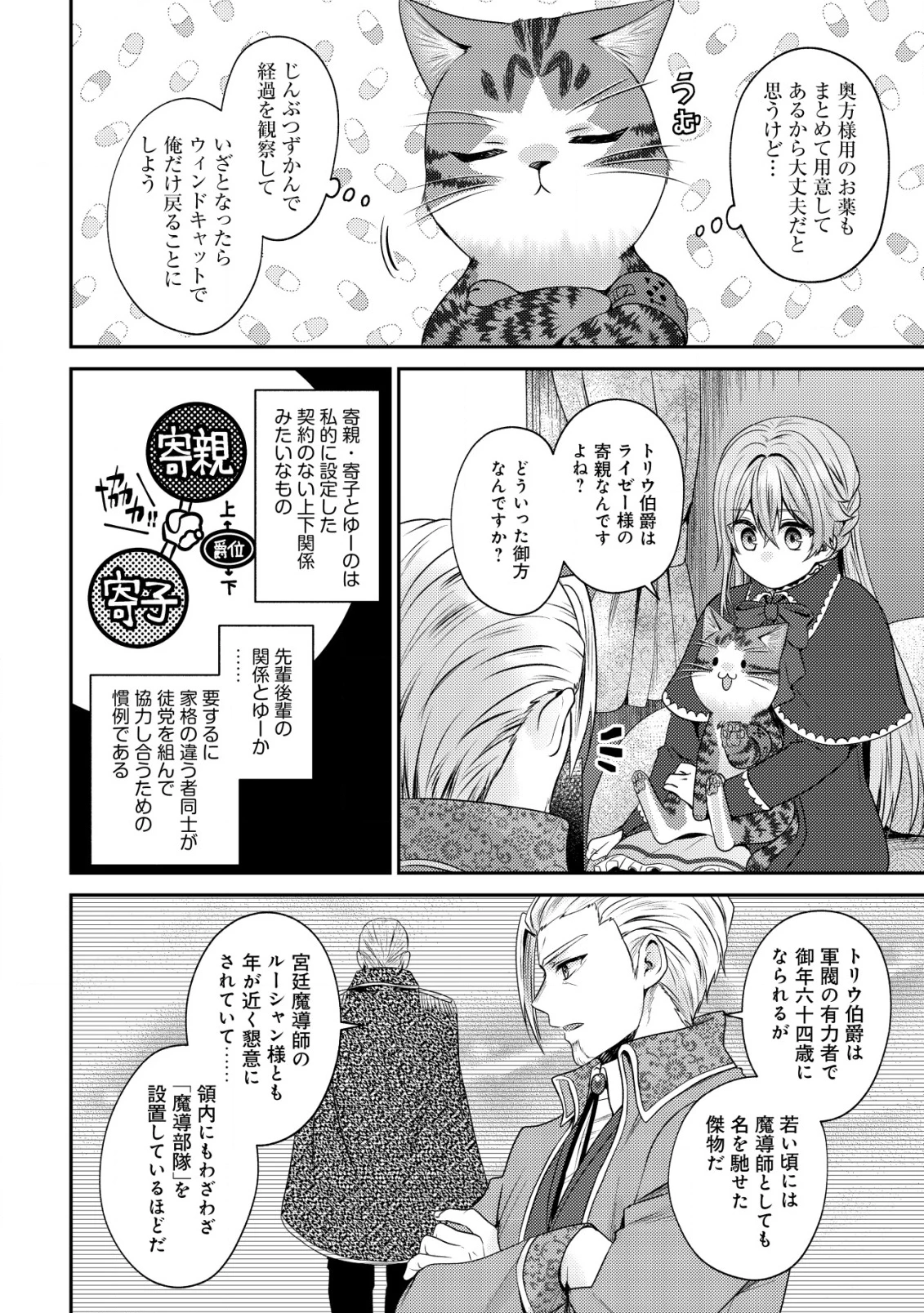 我輩は猫魔導師である～キジトラ・ルークの快適チート猫生活～ 第21話 - 3