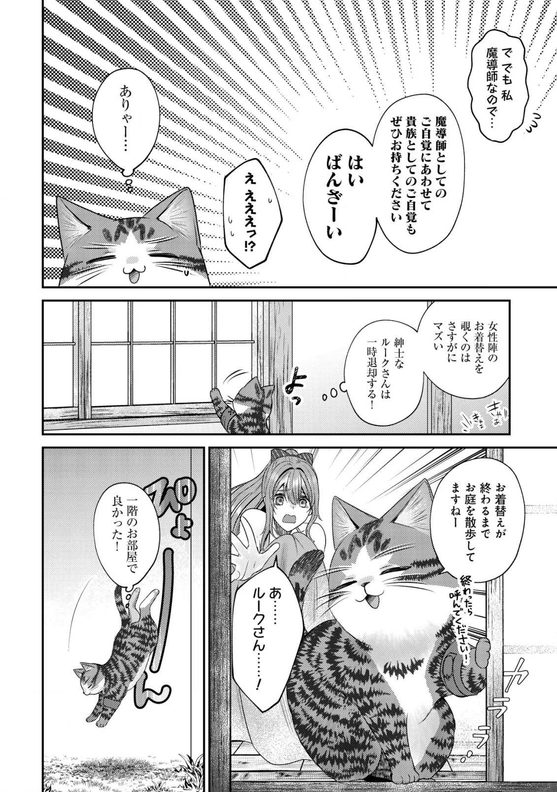 我輩は猫魔導師である～キジトラ・ルークの快適チート猫生活～ 第21話 - 15