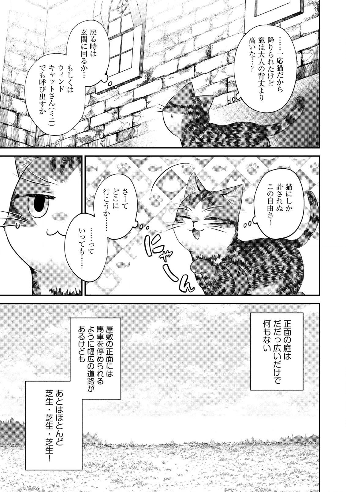 我輩は猫魔導師である～キジトラ・ルークの快適チート猫生活～ 第21話 - 16