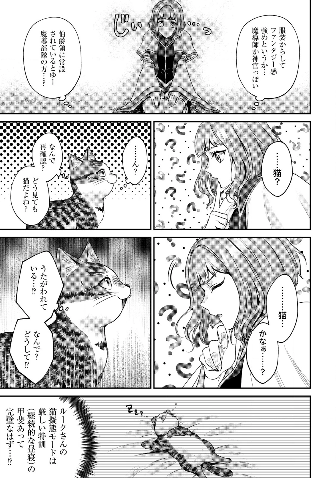 我輩は猫魔導師である～キジトラ・ルークの快適チート猫生活～ 第21話 - 20