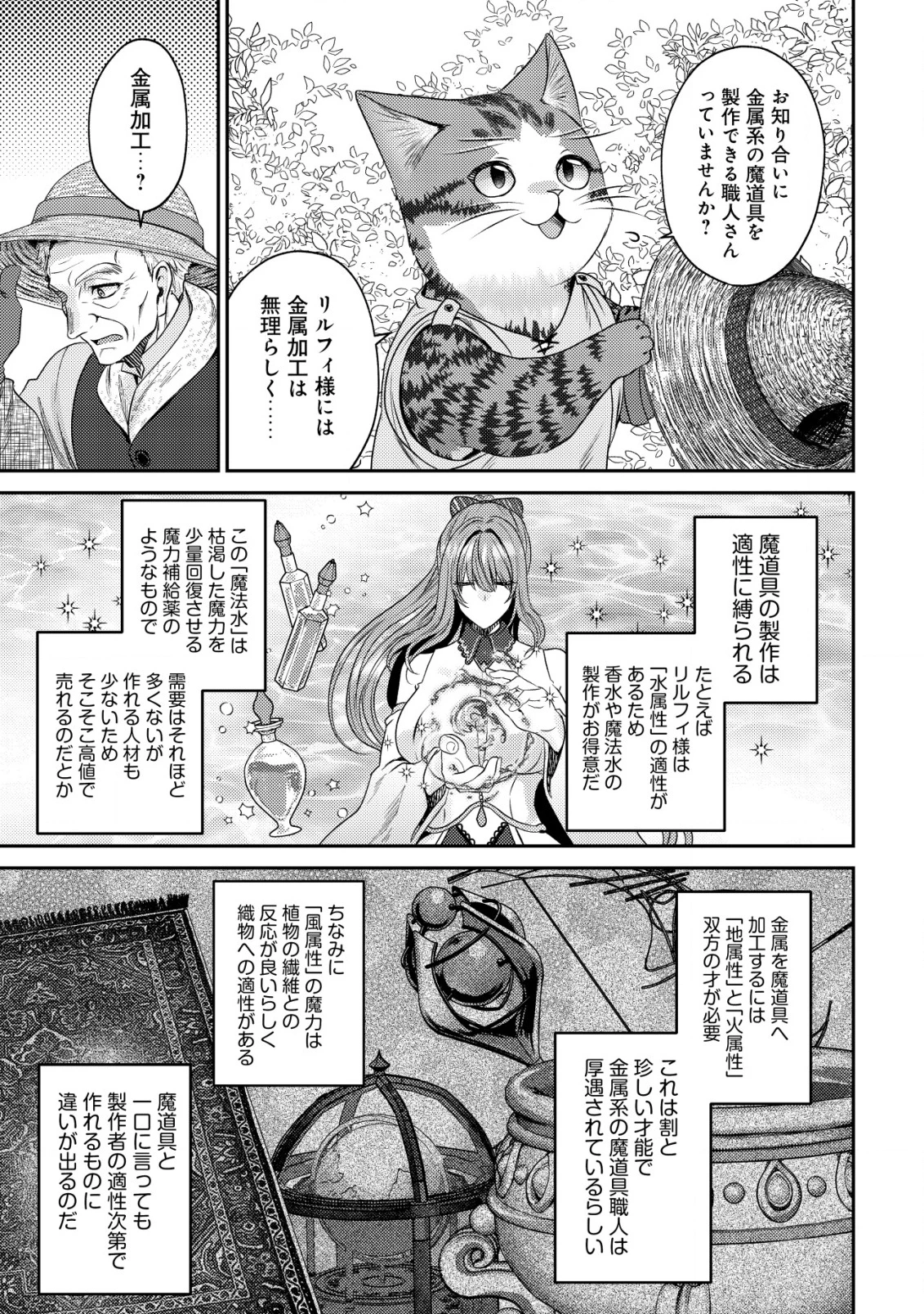 我輩は猫魔導師である～キジトラ・ルークの快適チート猫生活～ 第20話 - 8