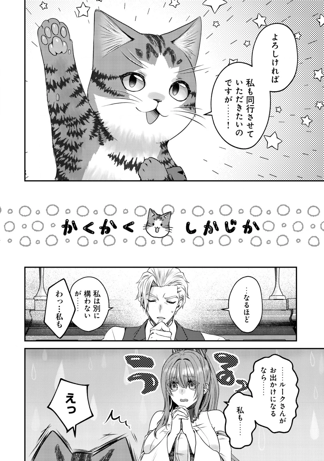 我輩は猫魔導師である～キジトラ・ルークの快適チート猫生活～ 第20話 - 17