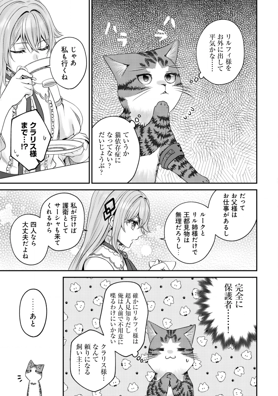 我輩は猫魔導師である～キジトラ・ルークの快適チート猫生活～ 第20話 - 18